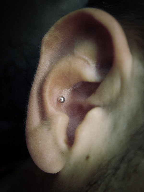 003 oreja concha