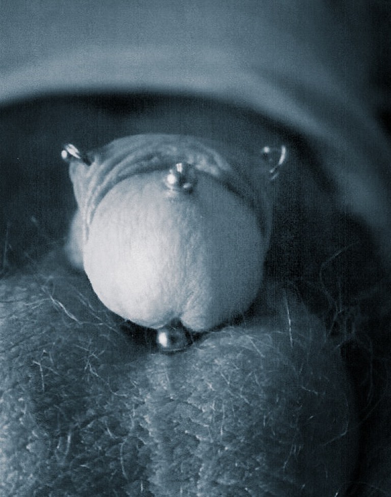 010Gmasculino